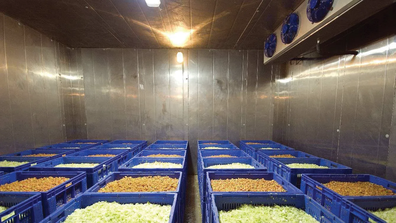 Cold storage